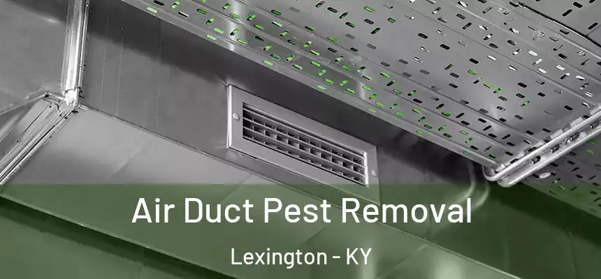 Air Duct Pest Removal Lexington - KY