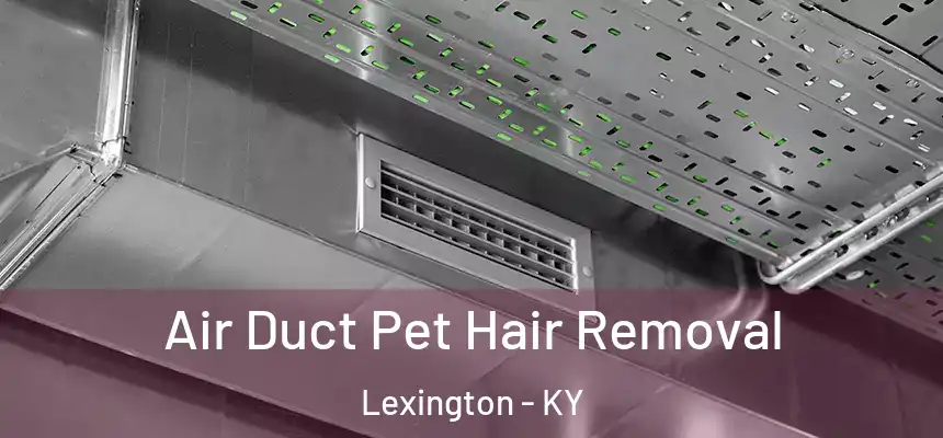 Air Duct Pet Hair Removal Lexington - KY