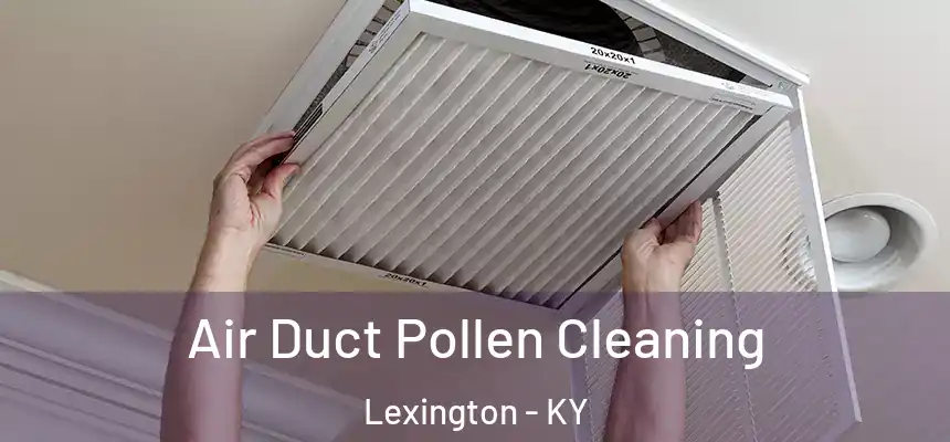Air Duct Pollen Cleaning Lexington - KY