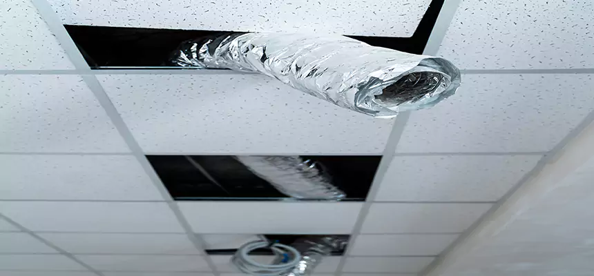 Our Air Duct Pet Hair Removal Services in Lexington, KY