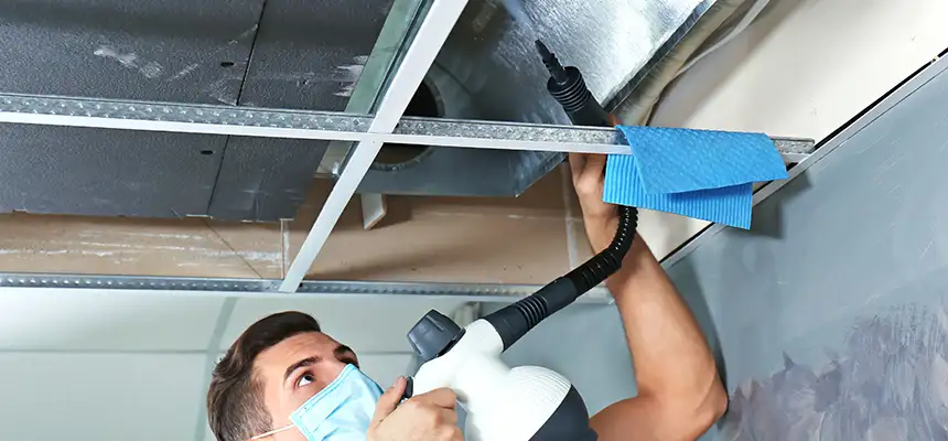 Our Air Duct Rodent Removal Services in Lexington, KY