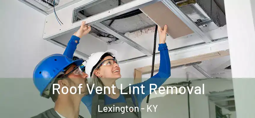 Roof Vent Lint Removal Lexington - KY