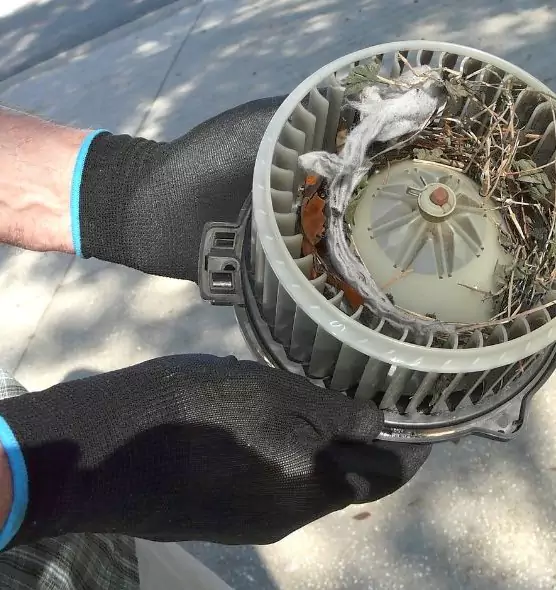 About Air Duct Rat Removal in Lexington, KY