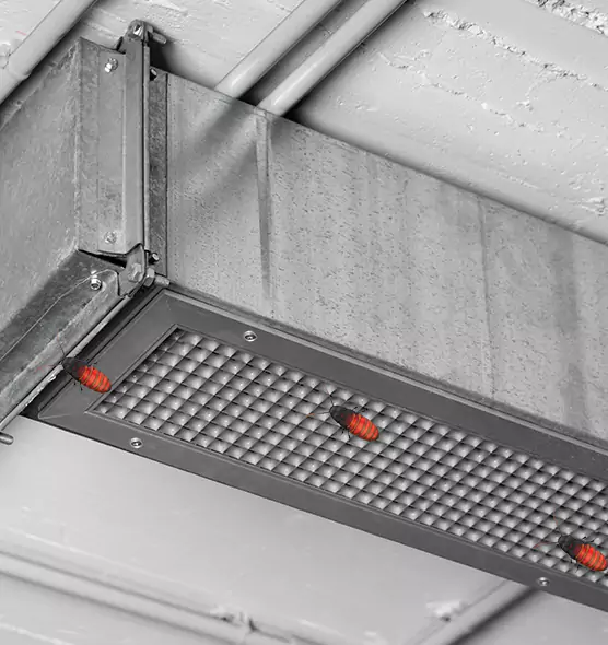 Affordable Insect Removal from Air Ducts in Lexington, KY