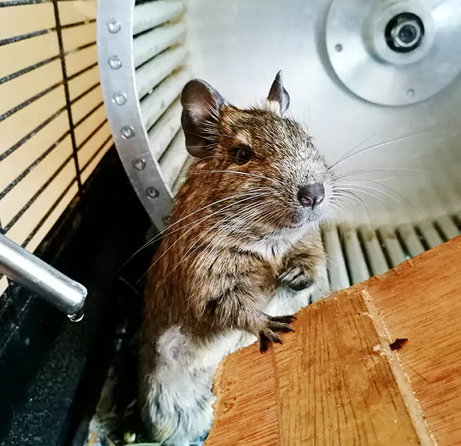 Why Homeowners & Businesses Trust Us Lexington, KY?